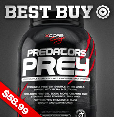 Predators Prey Best Buy