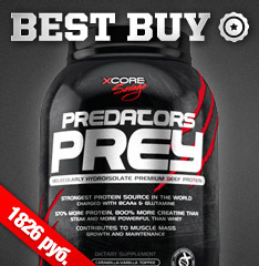 Predators Prey Best Buy