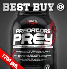 Predators Prey Best Buy