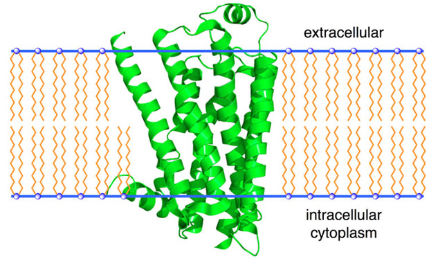 USP labs - Compound 20- graph